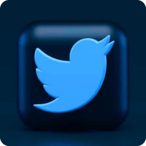 Twitter-300x300-1